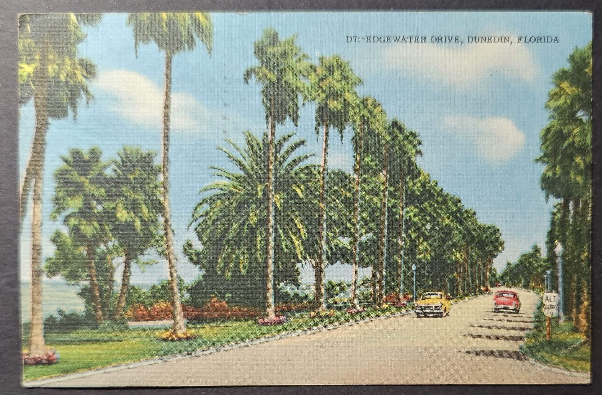 (image for) postcard USA - FL - Florida #0068